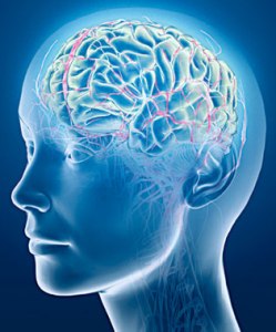 brain injury lawyers in Orange County