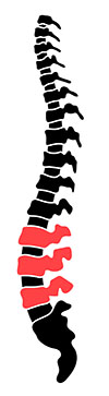 lumbar spinal cord injury