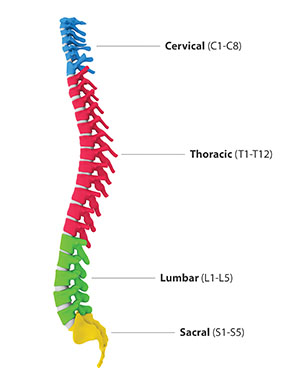types of spinal cord injury