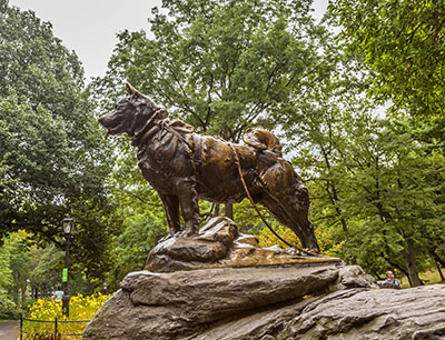 A Siberian Husky statue in Central Park, New York, commemorating Balto - the husky hero of the Nome serum run.
