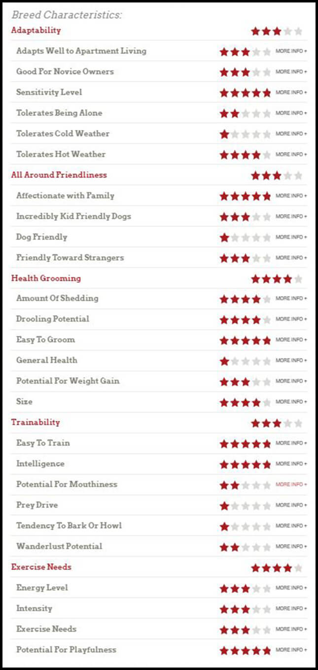 doberman breed characteristic chart