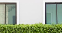 bushes in front of windows