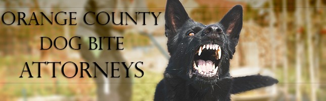 Orange County Dog Bite Lawyers