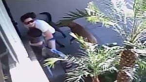 Anaheim Dog Attack Caught on Camera