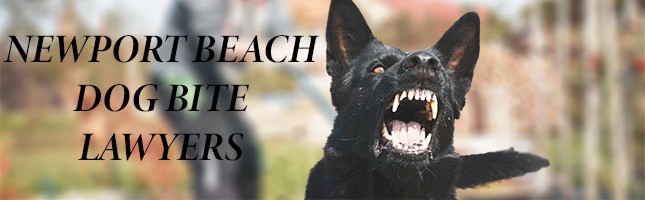 Newport Beach dog bite lawyer