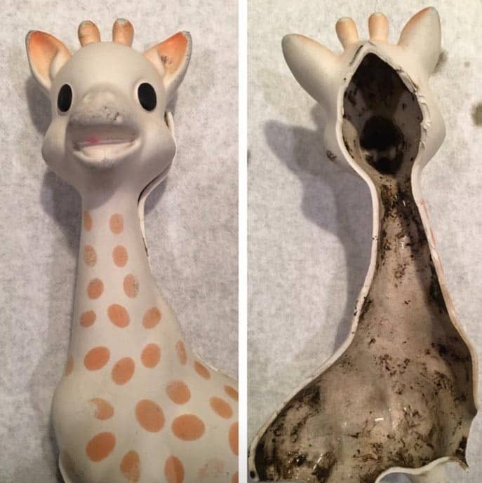 Mold Found Inside Popular Teething Toy Sophie the Giraffe