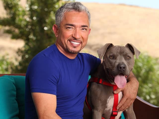 Dog Whisperer Star Cesar Millan Faces Dog Bite Lawsuit