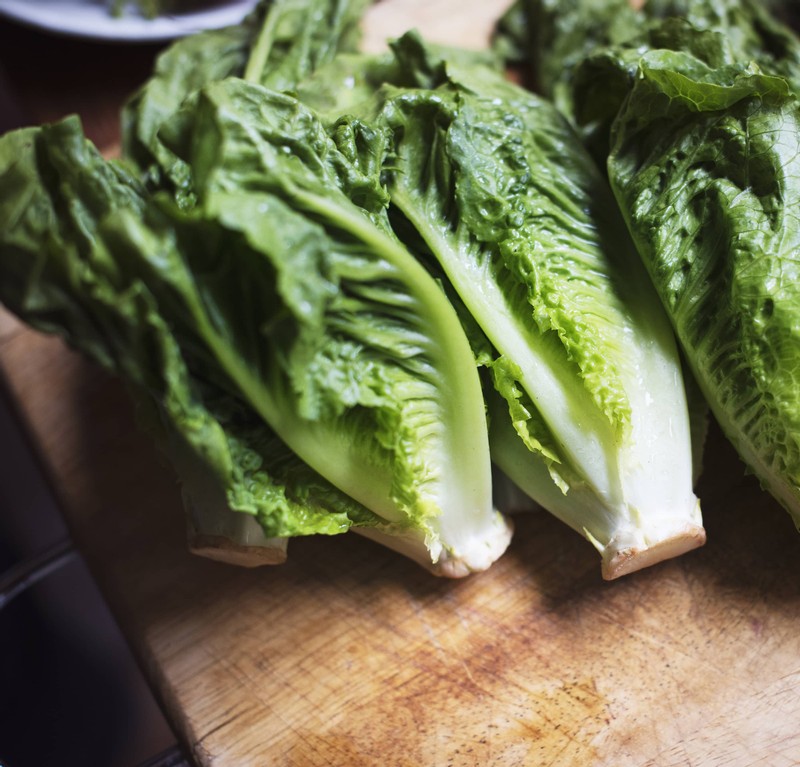 Four More People Die as a Result of E. Coli Contaminated Romaine Lettuce