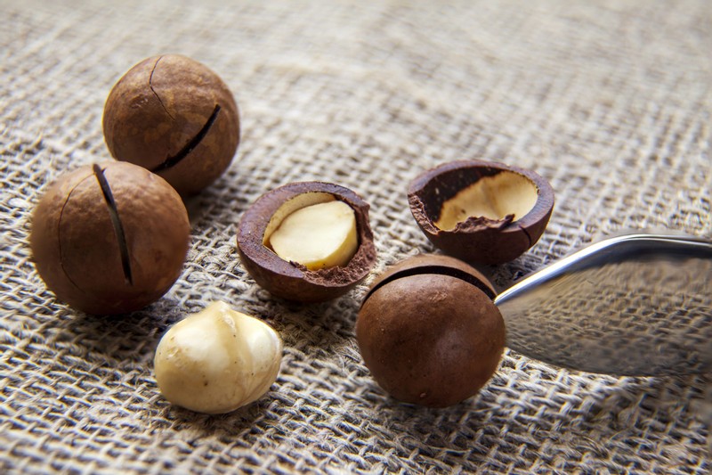Raw Macadamia Nuts Recalled for Possible Salmonella Contamination