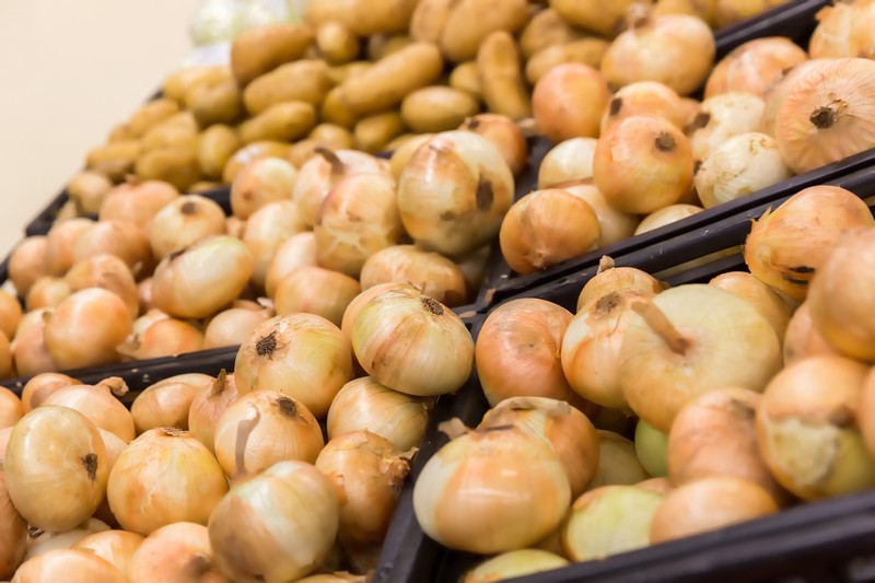 Nationwide Onion Recall Spurred by Salmonella Outbreak