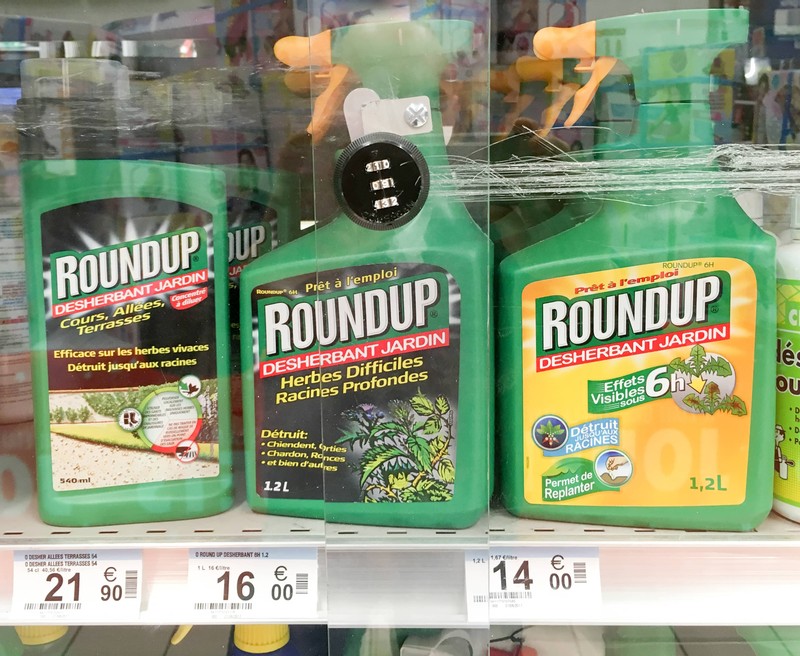 Monsanto Faces Terminally Ill Cancer Patient in Roundup Trial