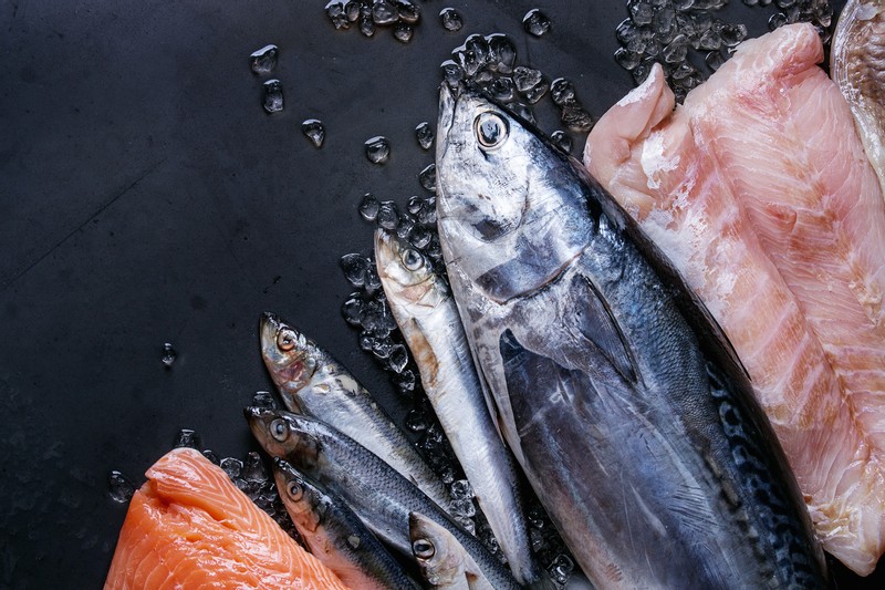 Frozen Tuna Linked to Salmonella Outbreak Recalled