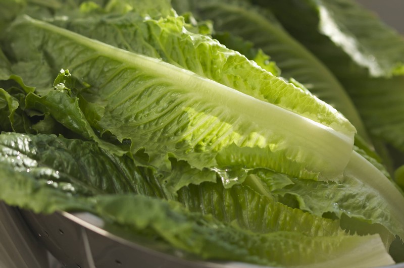 Romaine Lettuce from California Causes 138 Cases of E. Coli Food Poisoning Nationwide
