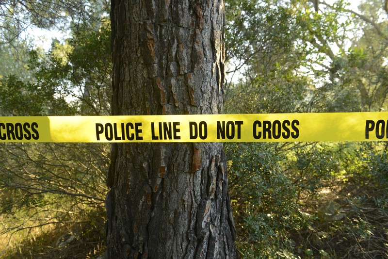 Tree Trimmer Fatally Injured on the Job in Laguna Hills